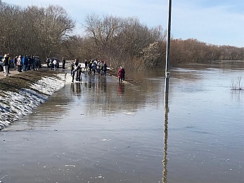 В рязанском Лесопарке прогнили новые помосты