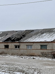 На Старожиловском конезаводе случился пожар в конюшне