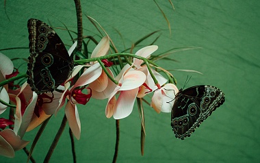 В Институте естественных наук РГУ прошёл День открытых дверей