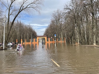 Фоторепортаж: рязанцы покоряют затопленный Лесопарк на лодках и сап-бордах - 62ИНФО Фоторепортаж: рязанцы покоряют затопленный Лесопарк на лодках и сап-бордах