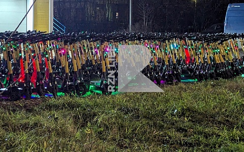 В Рязани обнаружили гигантское стойбище самокатов