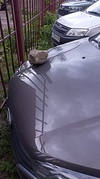 В Рязани 11-летний мальчик разбивает стёкла автомобилей камнем 