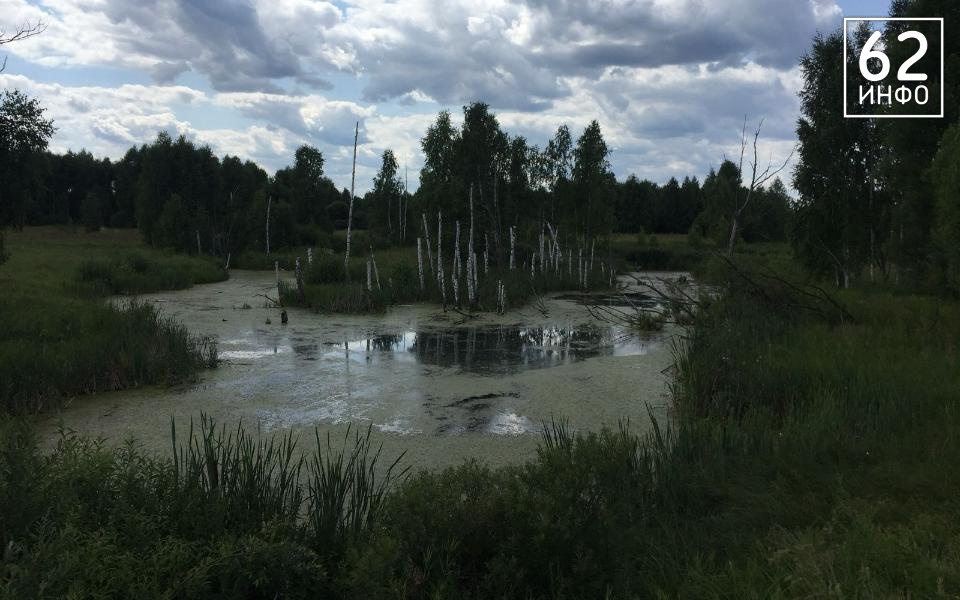Опубликованы подробности смерти рыбака в водоёме Пронского района - 62ИНФО