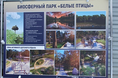 Депутаты Рязгордумы обсудили строительство жилого комплекса и гостиницы в Борках