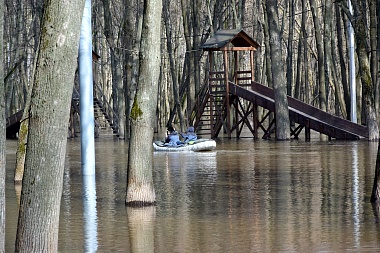 Рязанцы начали плавать на лодках и сап-бордах по затопленному Лесопарку