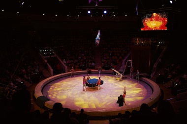 Рязанский цирк до 16 апреля представляет программу «Вместе целая страна»