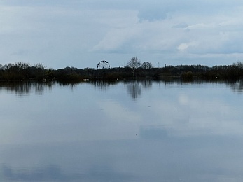 Рязанское море: фото разлива Оки