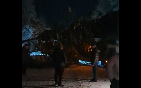 Под Касимовом дерево перекрыло дорогу