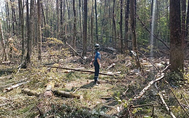 Рязанцы помогали ликвидировать последствия крушения самолёта под Коломной