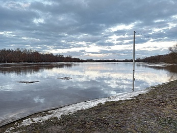Ореховое озеро под Рязанью вышло из берегов из-за паводка