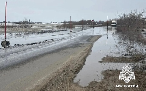 Под Рязанью Ока залила дорогу от Шумаши к Заокскому и Коростово