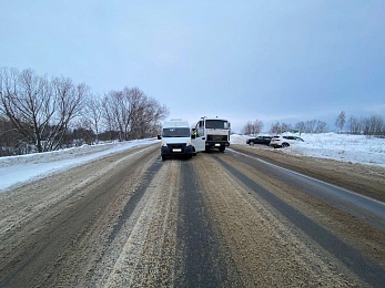 В ДТП с автобусом и грузовиком под Рязанью пострадали пять пассажиров