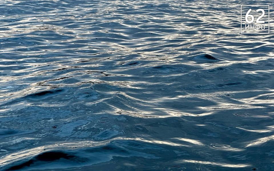 Следком начал проверку по факту смерти мужчины в водоёме Сасовского района - 62ИНФО