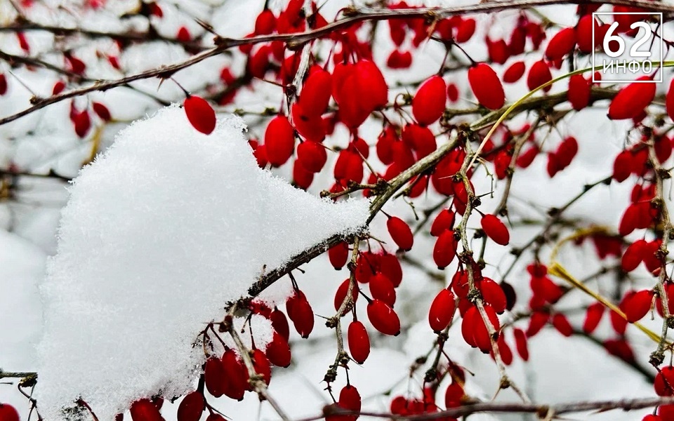 В Рязанской области сохранится мороз - 62ИНФО