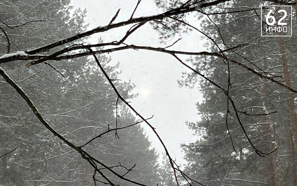 В Рязанской области ждут небольшого снега и мороза - 62ИНФО