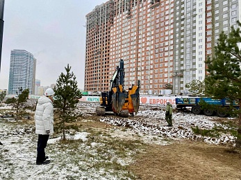 Сотрудники ГК "Зеленый сад" высадили сосны вдоль Муромского шоссе в Рязани