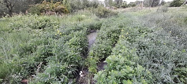 Житель Александрово Рязанского района показал канализационный ручей