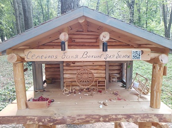 В рязанском ЦПКиО появилась «Баня для белок»