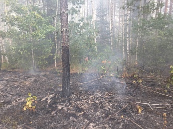 По ту сторону реки: как тушат пожары в рязанских лесах