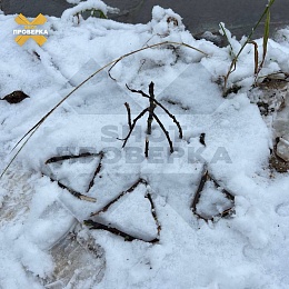 Люди в мантиях проводили таинственные ритуалы в рязанском лесу