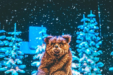 Рязанский театр кукол показал теплую новогоднюю премьеру "Морозко"