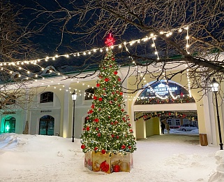 В Рязани зажгли огни на главной елке на площади Ленина