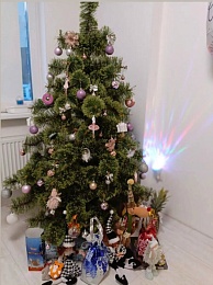 Рязанцы показали фотографии домашних ёлок