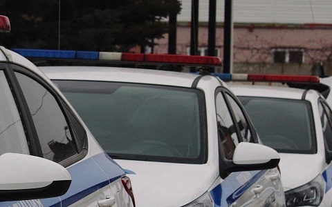 Госавтоинспекция Рязанской области провела трёхдневные рейды 