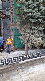 В центре Рязани пилят голубые ели