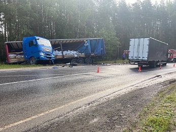 Полиция опубликовала подробности ДТП с грузовиками в Рыбновском районе 
