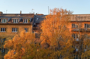 Рязанская епархия показала фотографии митрополита Марка - 62ИНФО Рязанская епархия показала фотографии митрополита Марка