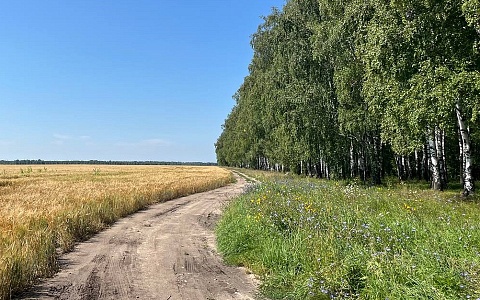 Рязанские аграрии взяли 39 медалей выставки "Золотая осень"