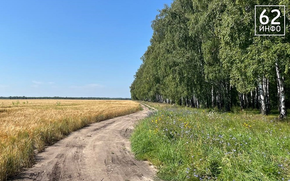 Рязанские аграрии взяли 39 медалей выставки "Золотая осень" - 62ИНФО