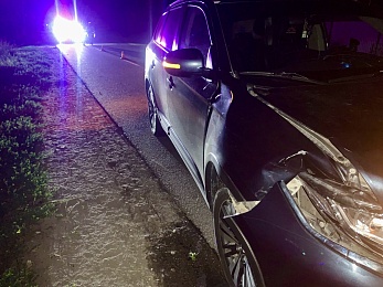 В Рязанской области насмерть сбили шедшую по краю проезжей части женщину