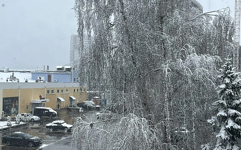 Рязань и область 20 апреля укрыл снег, продолжается метель