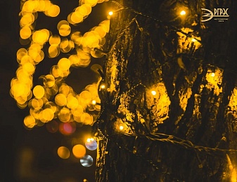 В Рязани полностью подключили новогоднюю иллюминацию