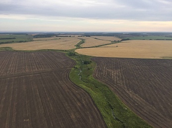 Фоторепортаж: пилоты «Неба России» пролетели на воздушных шарах над Рязанской областью - 62ИНФО Фоторепортаж: пилоты «Неба России» пролетели на воздушных шарах над Рязанской областью