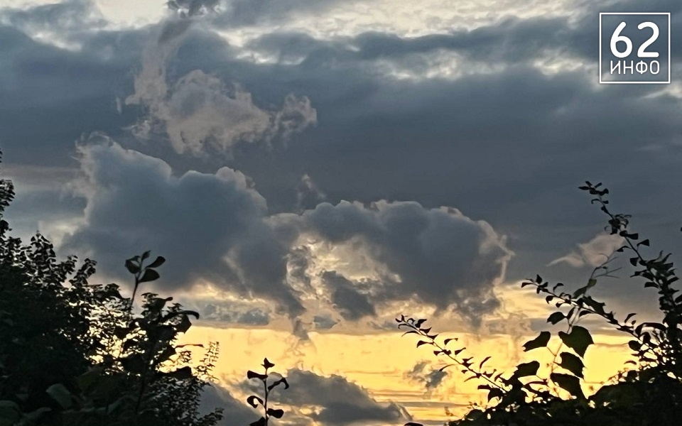  В Рязанской области ночью выпадет половина нормы осадков за месяц - 62ИНФО