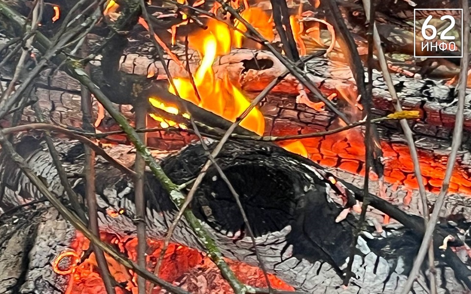 В Ниловке Сараевского района 67-летняя женщина погибла на пожаре - 62ИНФО