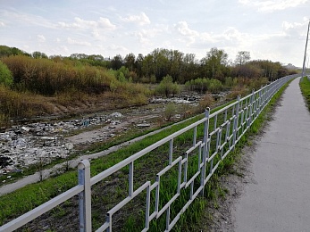 Рязанцы рассказали об огромной свалке вдоль Северной окружной дороги