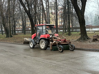 В ближайший месяц в Рязани организуют «творческие субботники»