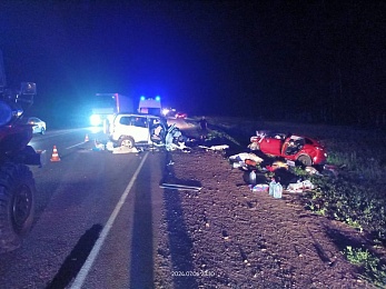 В Ряжском районе 5 человек погибли в ДТП