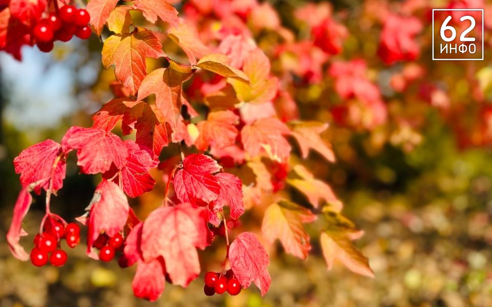 В Рязанской области температура ночью опустится до +3 градусов - 62ИНФО В Рязанской области температура ночью опустится до +3 градусов - 62ИНФО
