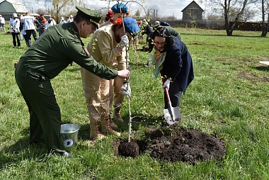 Любимов поучаствовал в высадке берёз в Михайловском районе