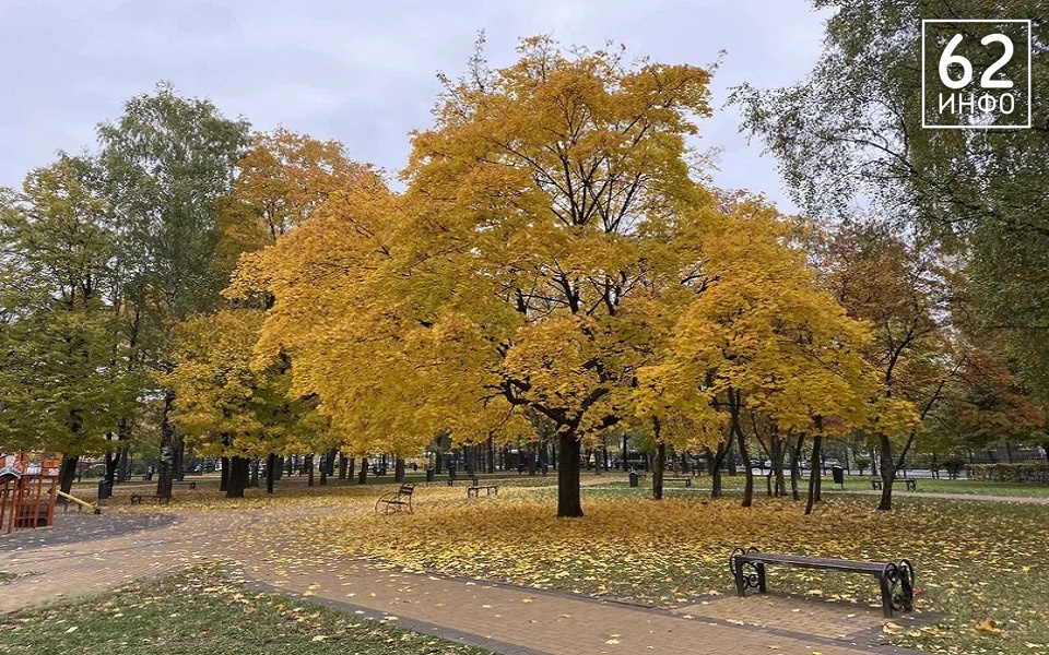 Осень вернется в регион к выходным - 62ИНФО Осень вернется в регион к выходным - 62ИНФО