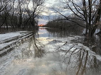 Ореховое озеро под Рязанью вышло из берегов из-за паводка