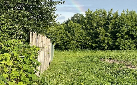 Владелица не использовала участок в Рязанском районе и лишилась земли