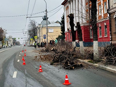 В Рязани из-за опиливания деревьев загорожена часть дороги в центре В Рязани из-за опиливания деревьев загорожена часть дороги в центре