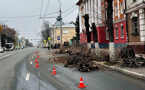 В Рязани из-за опиливания деревьев загорожена часть дороги в центре В Рязани из-за опиливания деревьев загорожена часть дороги в центре