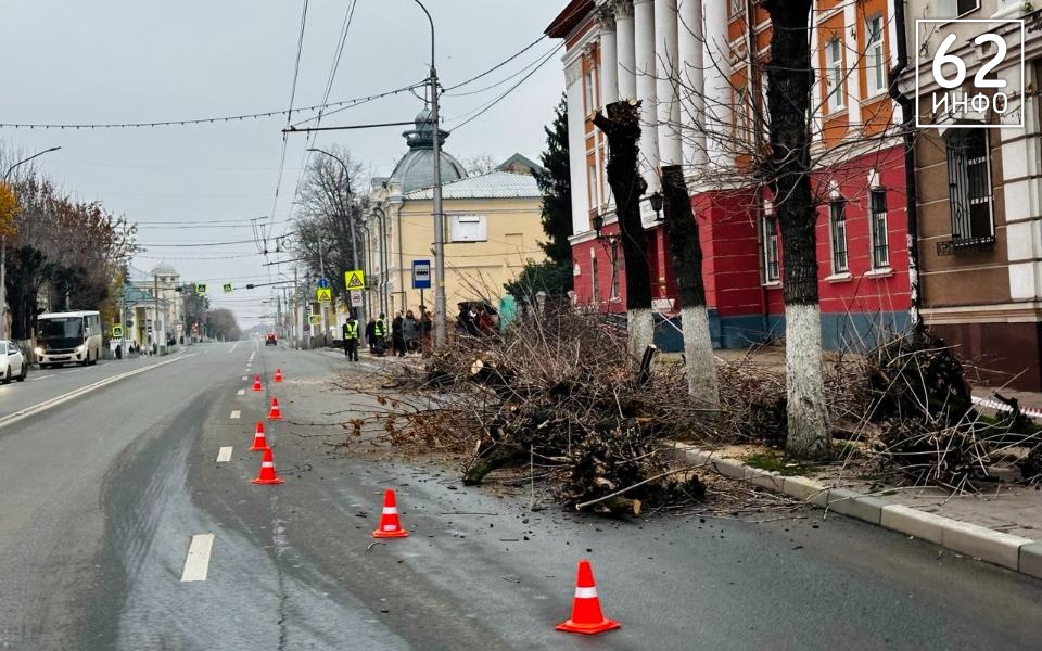 В Рязани из-за опиливания деревьев загорожена часть дороги в центре - 62ИНФО